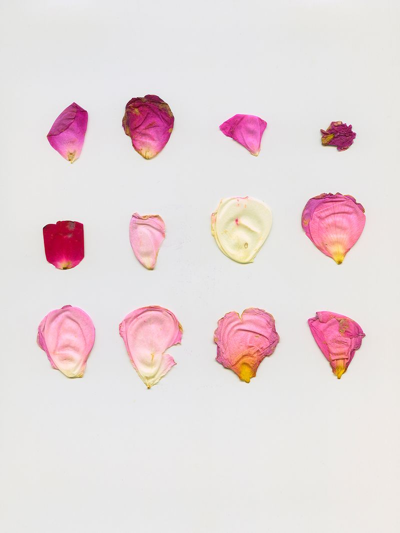 © Fiona Filipidis - Image from the To make a prairie photography project