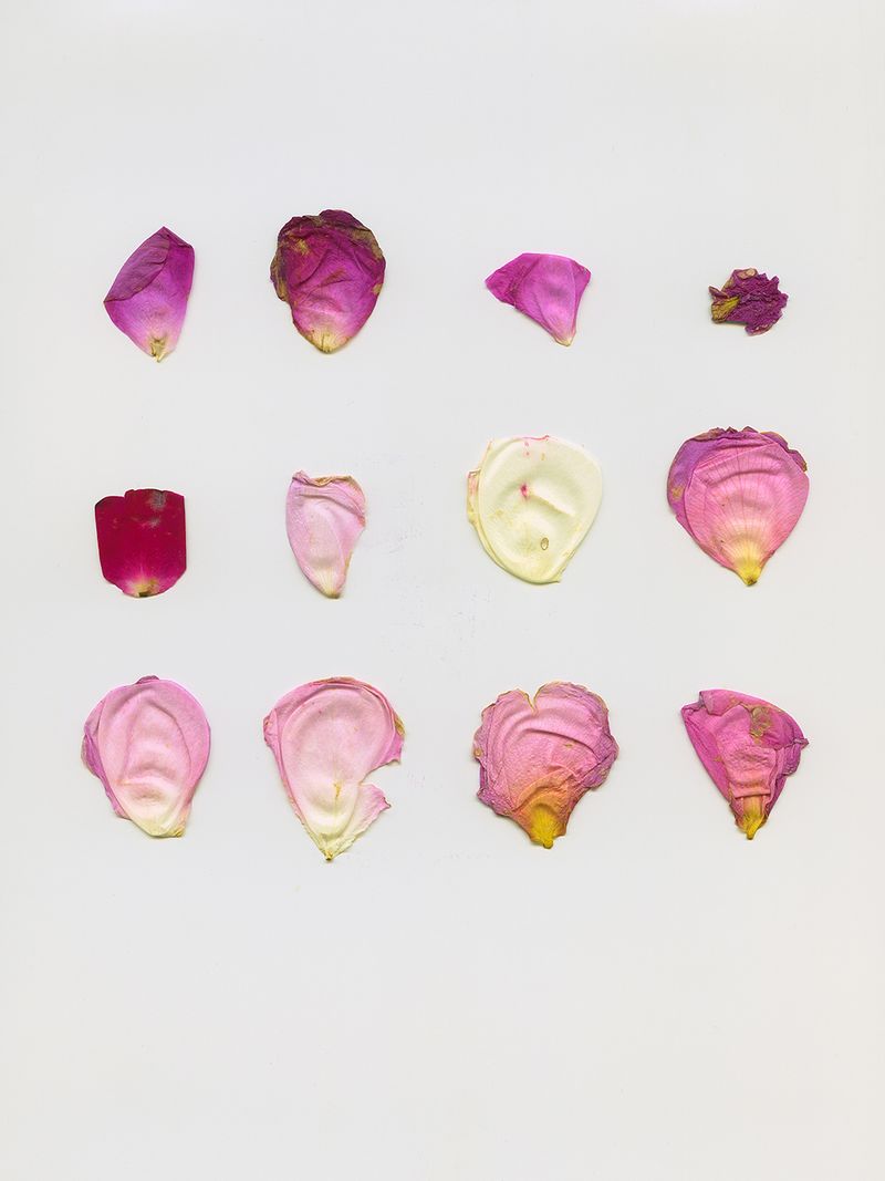 © Fiona Filipidis - Image from the To make a prairie photography project