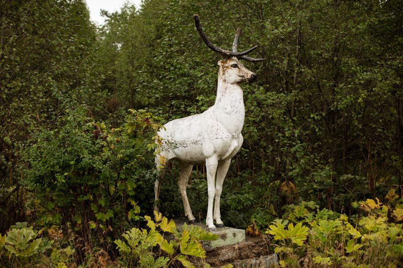 © Mario Rey - Image from the American Insider photography project