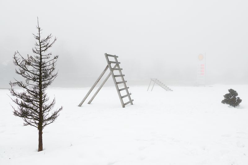 © Mario Rey - Image from the American Insider photography project