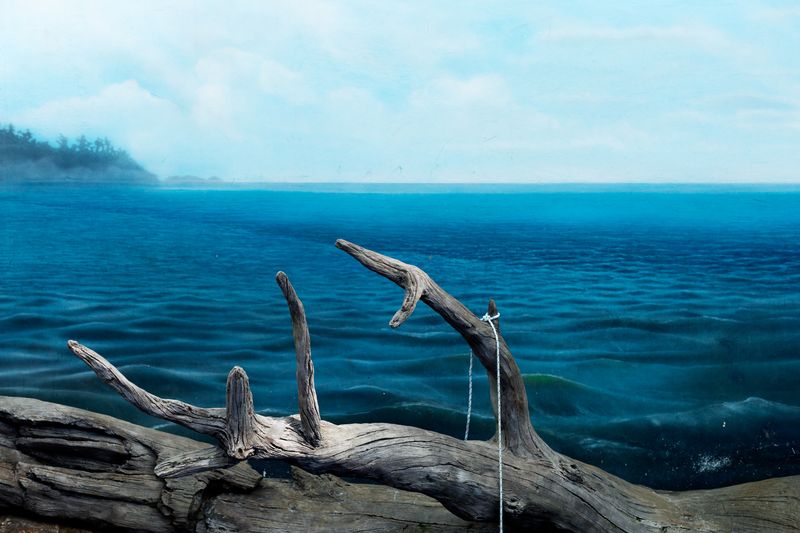 © Mario Rey - Image from the American Insider photography project