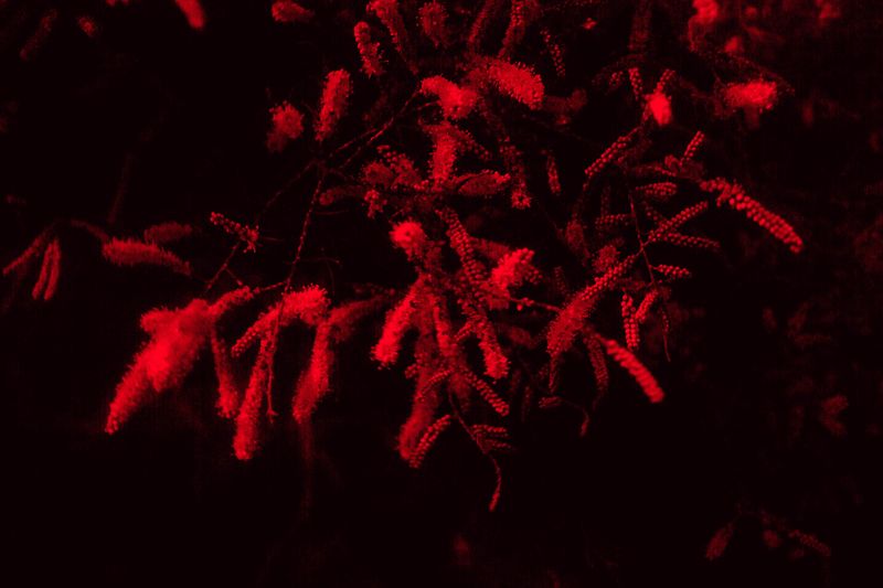 © Hannah Cauhépé - Image from the Where are you? // Biz burdayız photography project