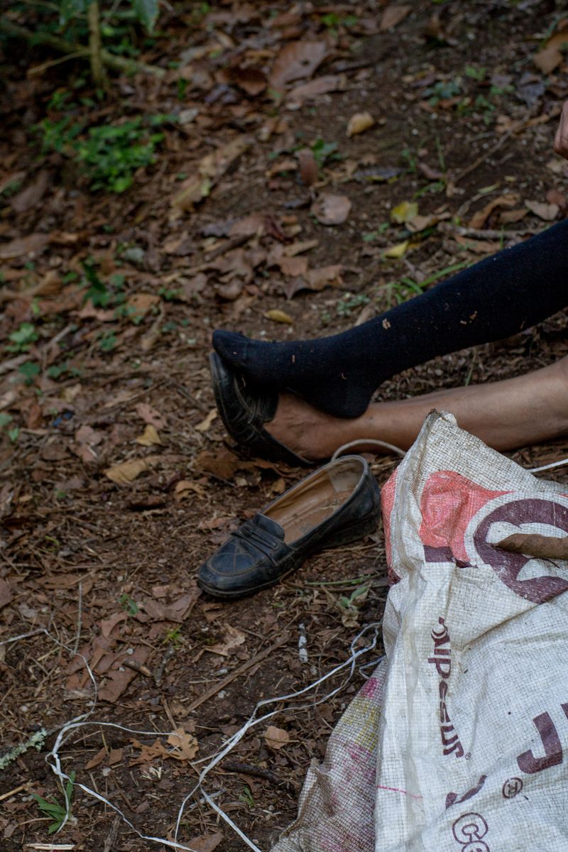 © Hannah Cauhépé - Image from the Purple Washed Beans? photography project