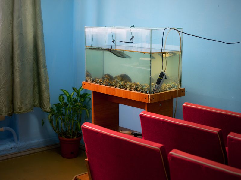 © Anastasia Rudenko - Image from the Useful days photography project