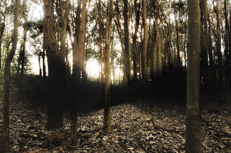 © Leandro Zanetti - Image from the Resiliencia photography project