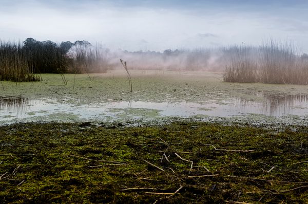 © Leandro Zanetti - Image from the Resiliencia photography project