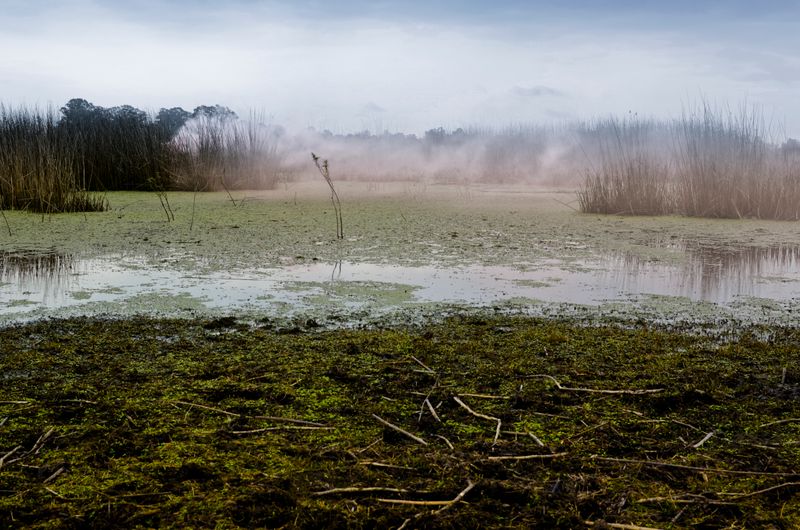 © Leandro Zanetti - Image from the Resiliencia photography project