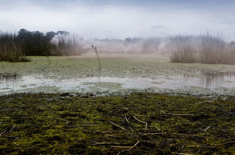 © Leandro Zanetti - Image from the Resiliencia photography project