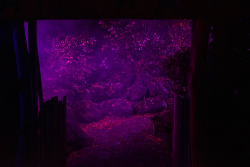 © Boris Eldagsen - Black Mirror 3b