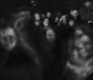 BLACK MIRROR (collaboration with Tomasz Lazar)