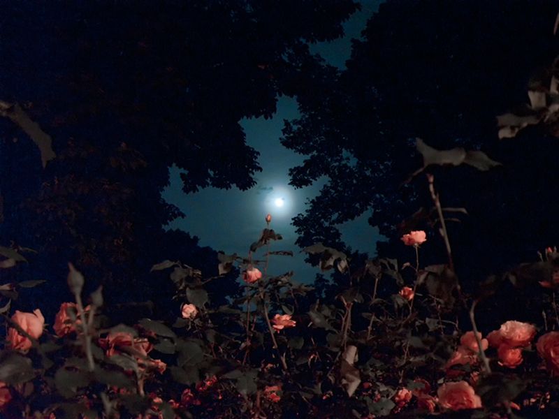 © Boris Eldagsen - POEM #98