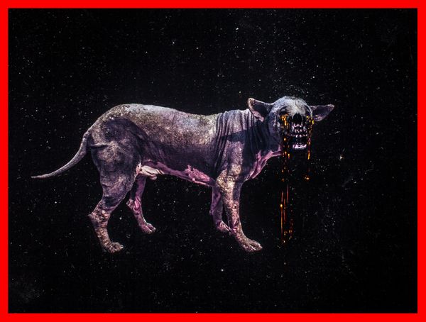 © Boris Eldagsen - Infinite Beauty