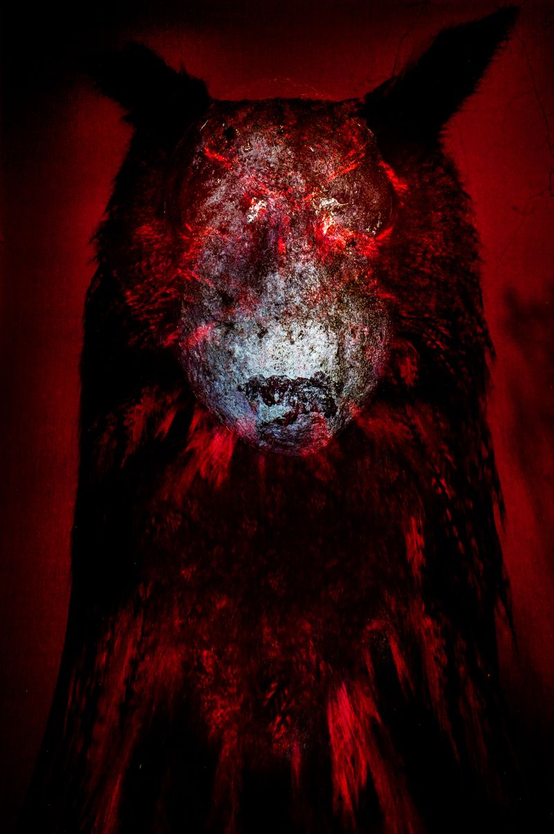 © Boris Eldagsen - Silence is the Gift of Tongues