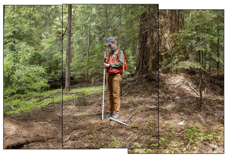 © Nancy Floyd - Field crew member Katelin Kutella in the process of mapping a location