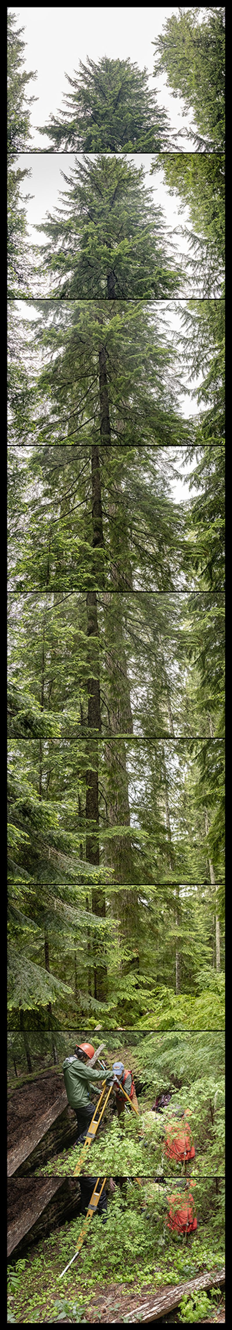 © Nancy Floyd - Field crew member Olivia Wilborn-Pilotte, Katelin Kutella, and Dr. Joe LaManna setting up the survey camera