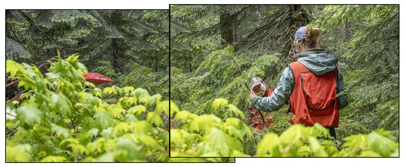 © Nancy Floyd - Field crew member Olivia Wilborn-Pilotte and Katelin Kutella Mapping Trees