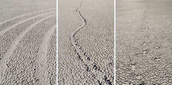 © Nancy Floyd - Desert Trinity (tire marks, moving rock trail, footprints)