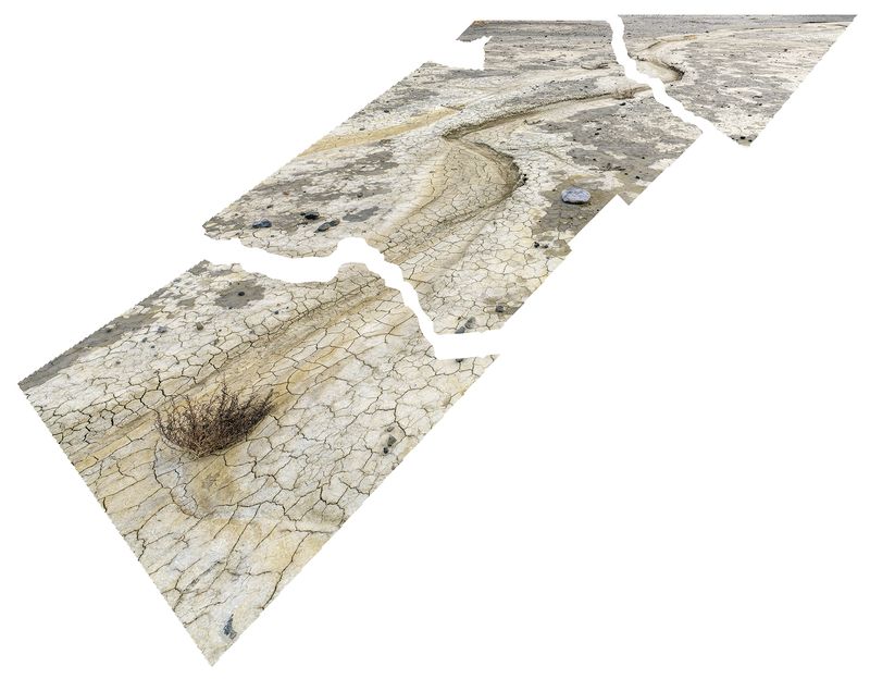 © Nancy Floyd - Parched