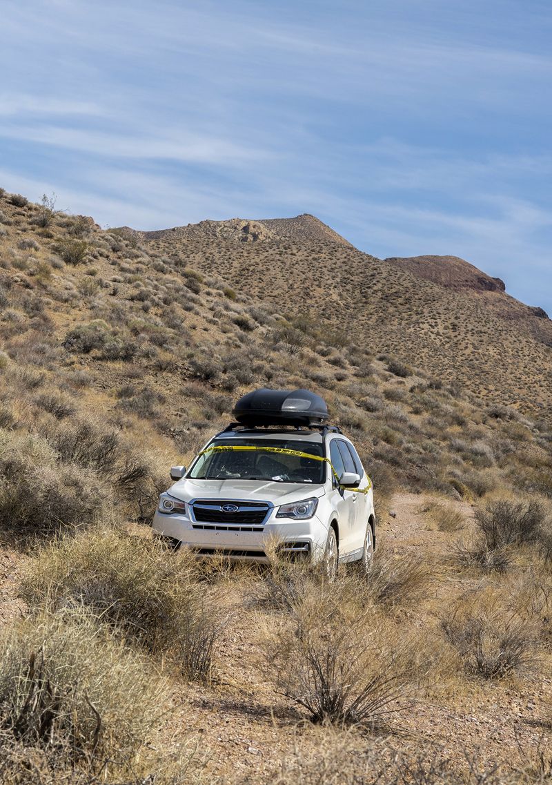 © Nancy Floyd - Police Line