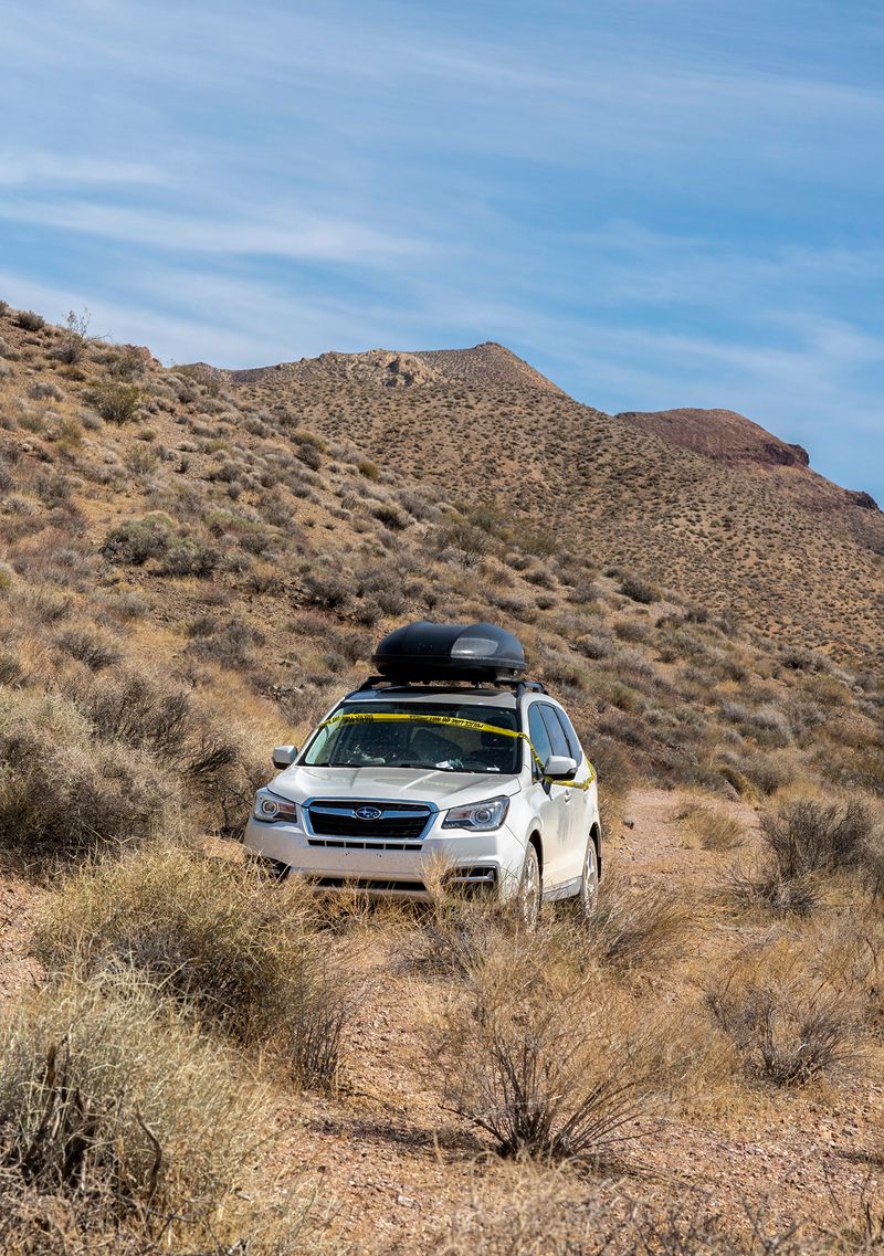 © Nancy Floyd - Police Line