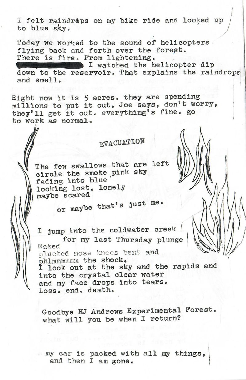 © Nancy Floyd - Sydney’s Big Plot Zine, 2023