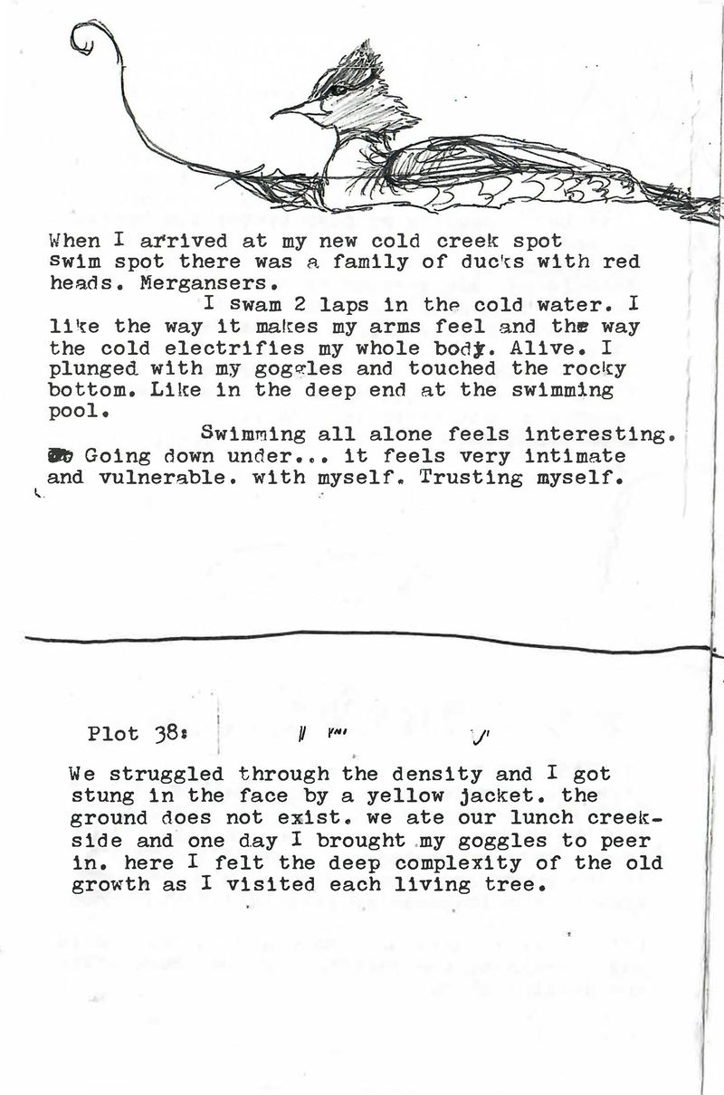 © Nancy Floyd - Sydney’s Big Plot Zine, 2023