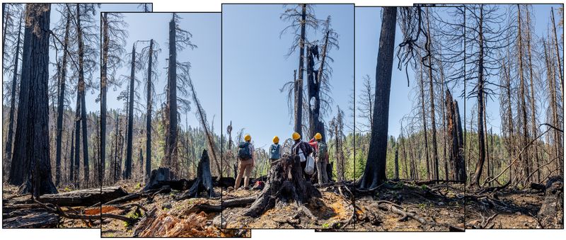 © Nancy Floyd - Mark, Libby, Amelia, and Dr. Posy Busby, Lookout Ridge High, 2024. The crew is heading into a 2023 Lookout Fire burn area.