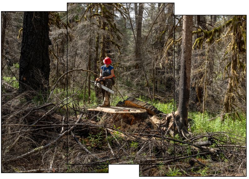 © Nancy Floyd - Image from the For the Love of Trees photography project