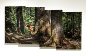 For the Love of Trees
