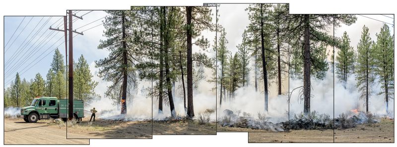 © Nancy Floyd - Extinguishing fire on Ponderosa Pine