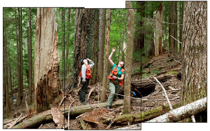 © Nancy Floyd - Grace and Elena noting tree canopy health