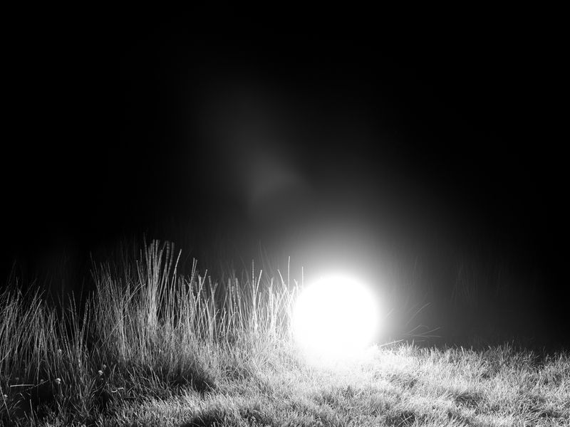 © Lauren Kaigg - Image from the Loop photography project