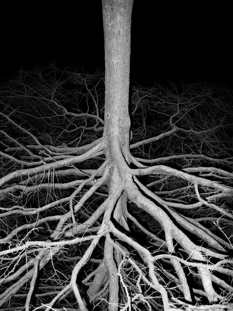 © Lauren Kaigg - Image from the Loop photography project