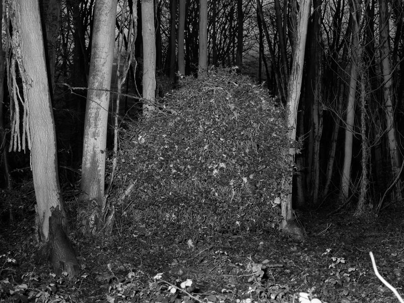 © Lauren Kaigg - Image from the Loop photography project