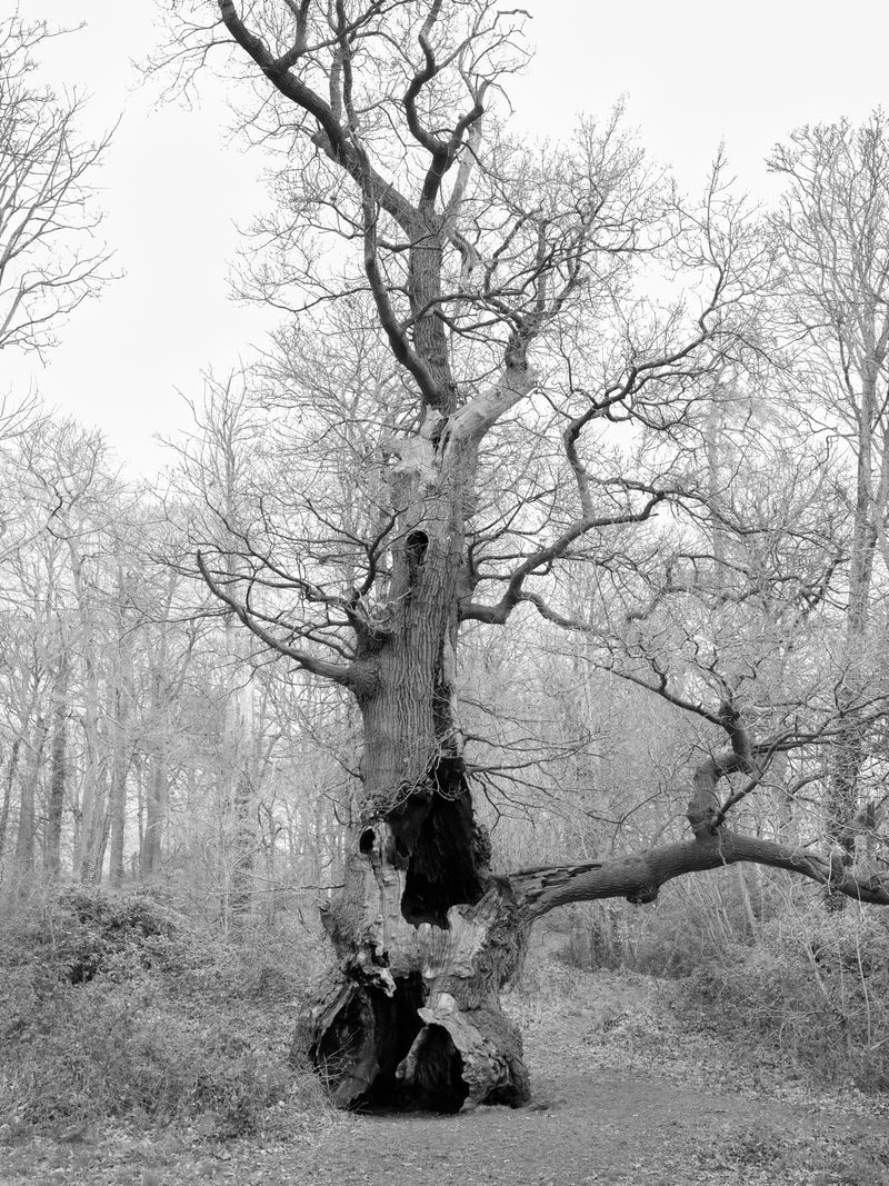 © Lauren Kaigg - Image from the Loop photography project