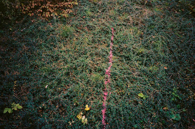 © Irina Vovk - Image from the To: Taja photography project