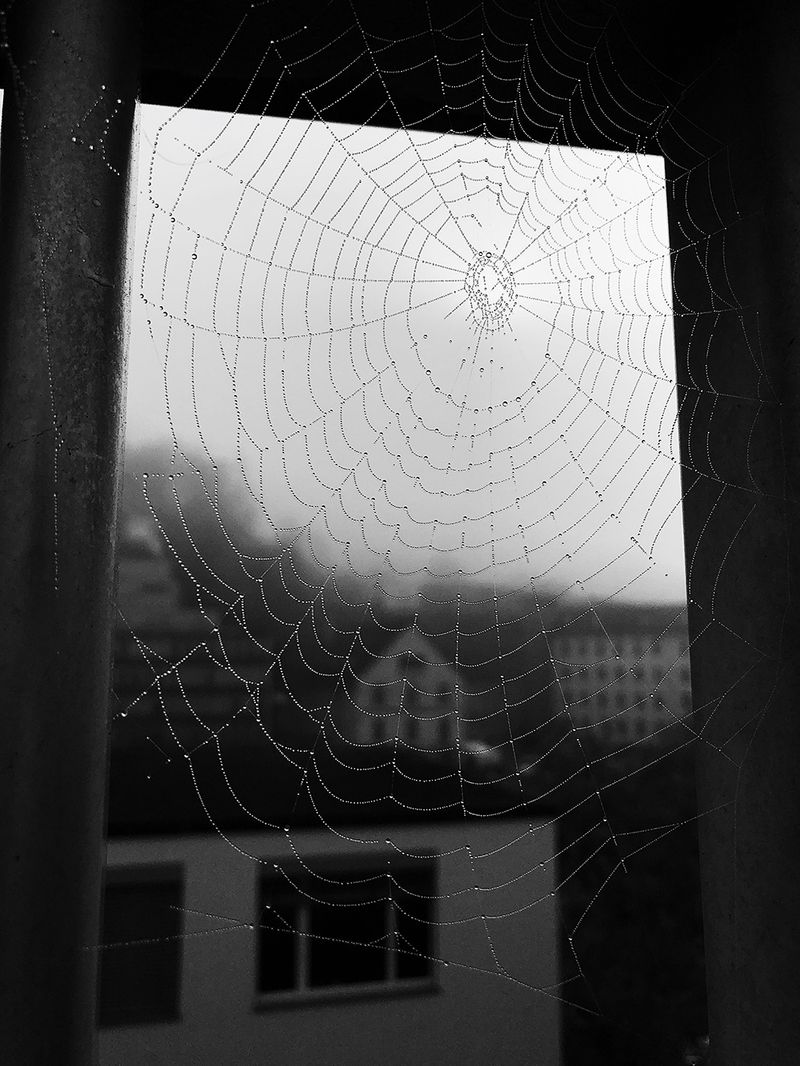 © Irina Vovk - Image from the To: Taja photography project