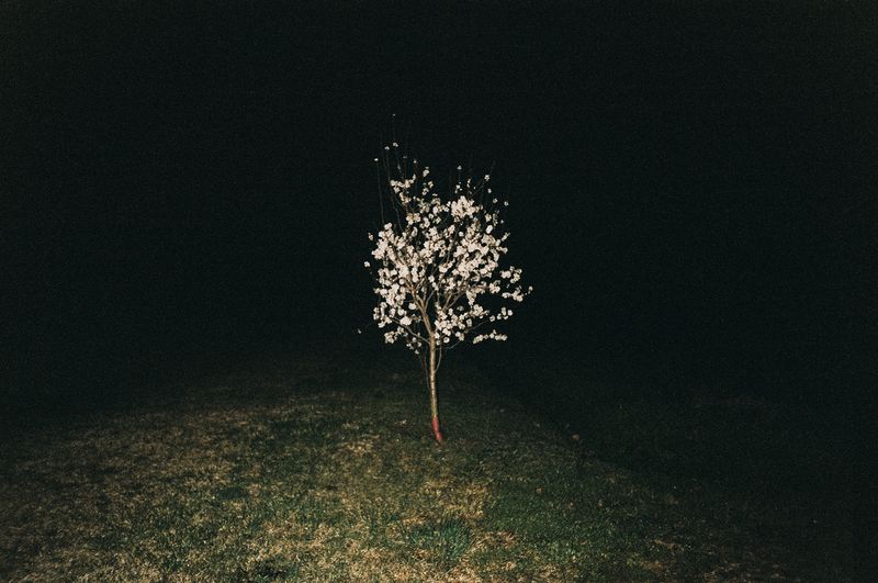 © Irina Vovk - Image from the To: Taja photography project