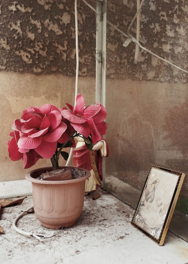 © Tanya Traboulsi - Image from the Beirut, Recurring Dream photography project