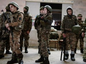 The color of pomegranate