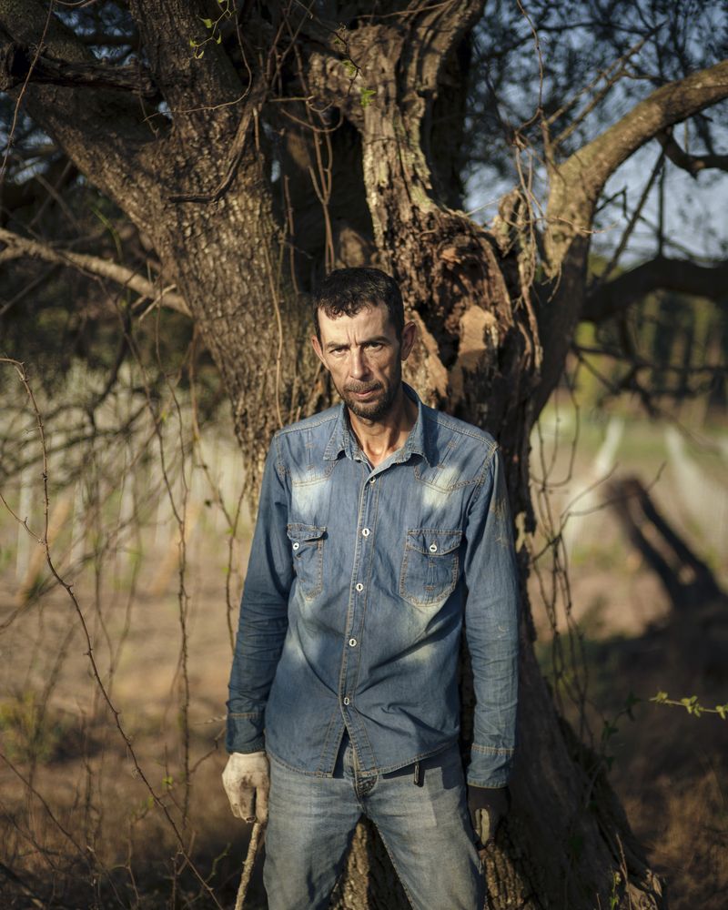 © Kamil Zihnioglu - Abdou, in a vineyard in Figari, pièveof Fretu, July 2022, for the newspaper Le Monde.