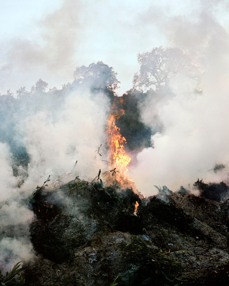 © Kamil Zihnioglu - Osu valley, February 2021. Steveis burning green waste. I’m chopping wood for the fireplace.