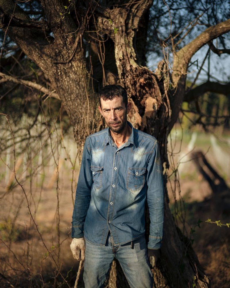 © Kamil Zihnioglu - Abdou, in a vineyard in Figari, pièveof Fretu, July 2022, for the newspaper Le Monde.