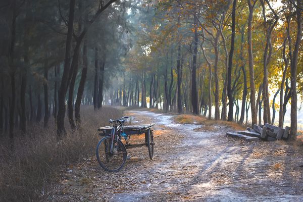 © khan avi - alone ven