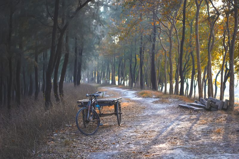 © khan avi - alone ven