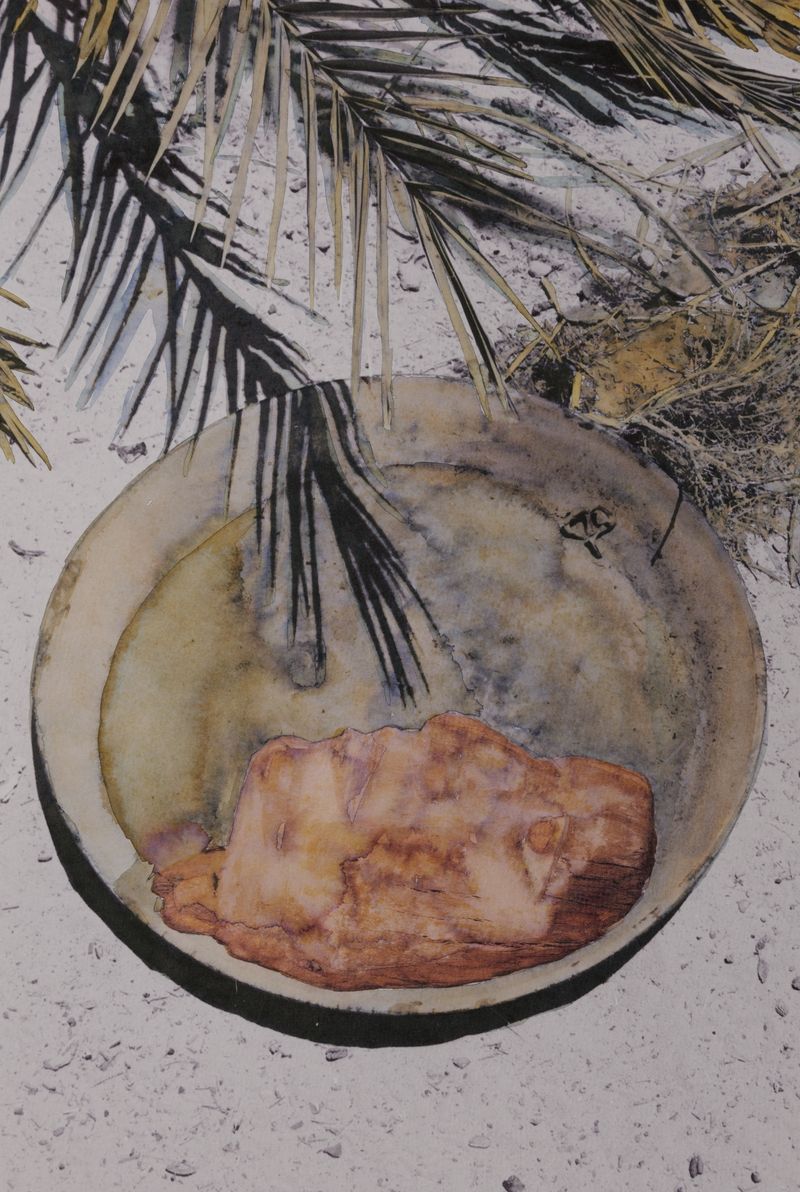 © Donja Nasseri - All images are reproduction and are originals with colour*