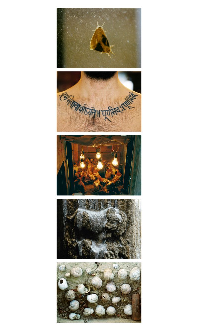 © Miyuki Yamanaka -  3 RA