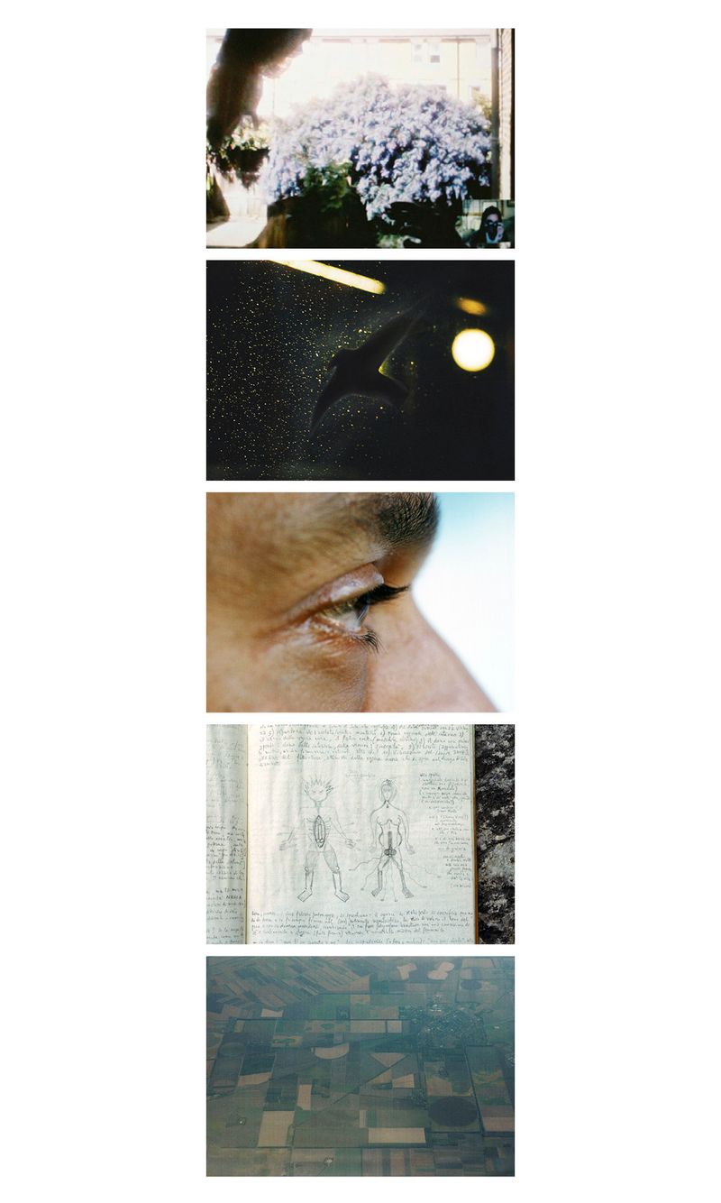 © Miyuki Yamanaka -  2 HA