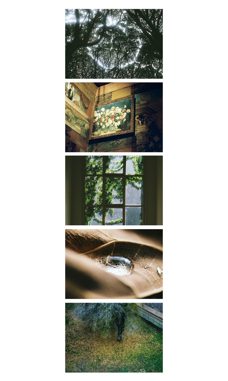 © Miyuki Yamanaka -  4 VA