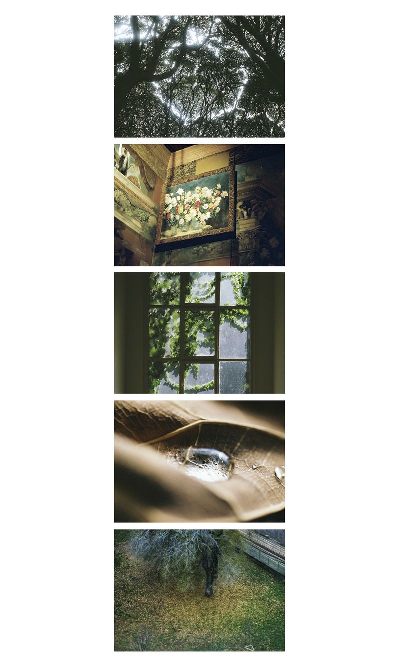 © Miyuki Yamanaka -  4 VA